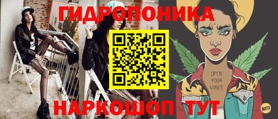 spice Гай