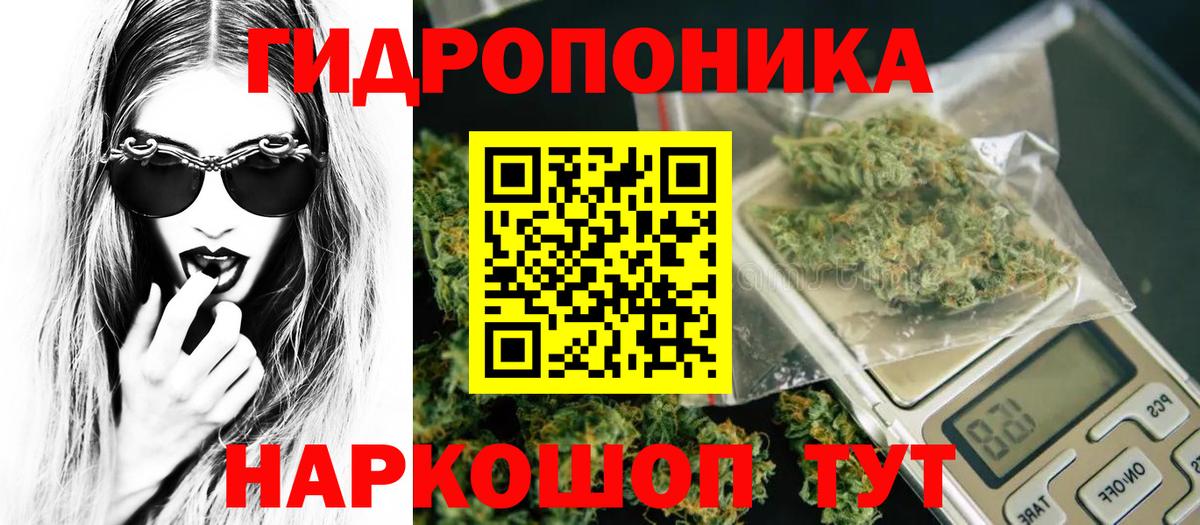 Марихуана White Widow  МАРИХУАНА планчик  МАРИХУАНА сатива  Лабинск  Вход с VPN 